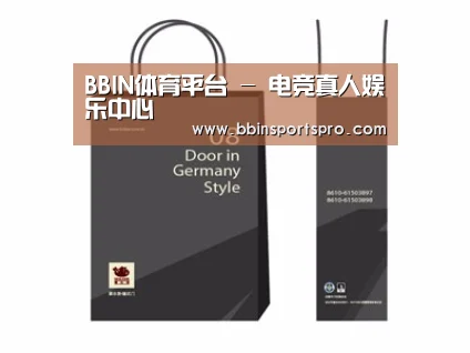 项目名称十四